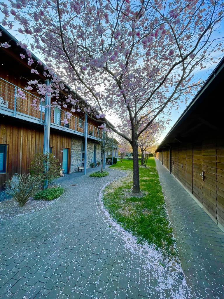 Wohnung und Carport