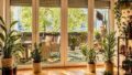 Blick Terrasse