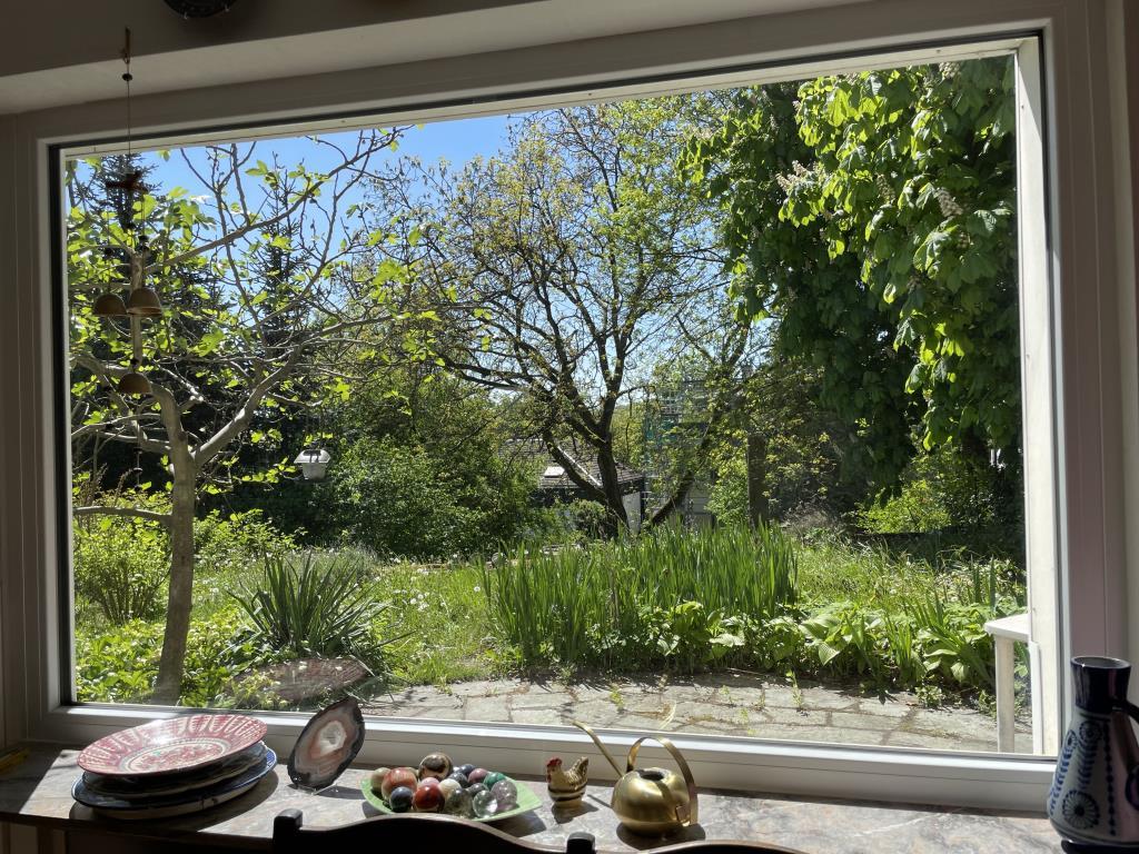 Blick in Garten