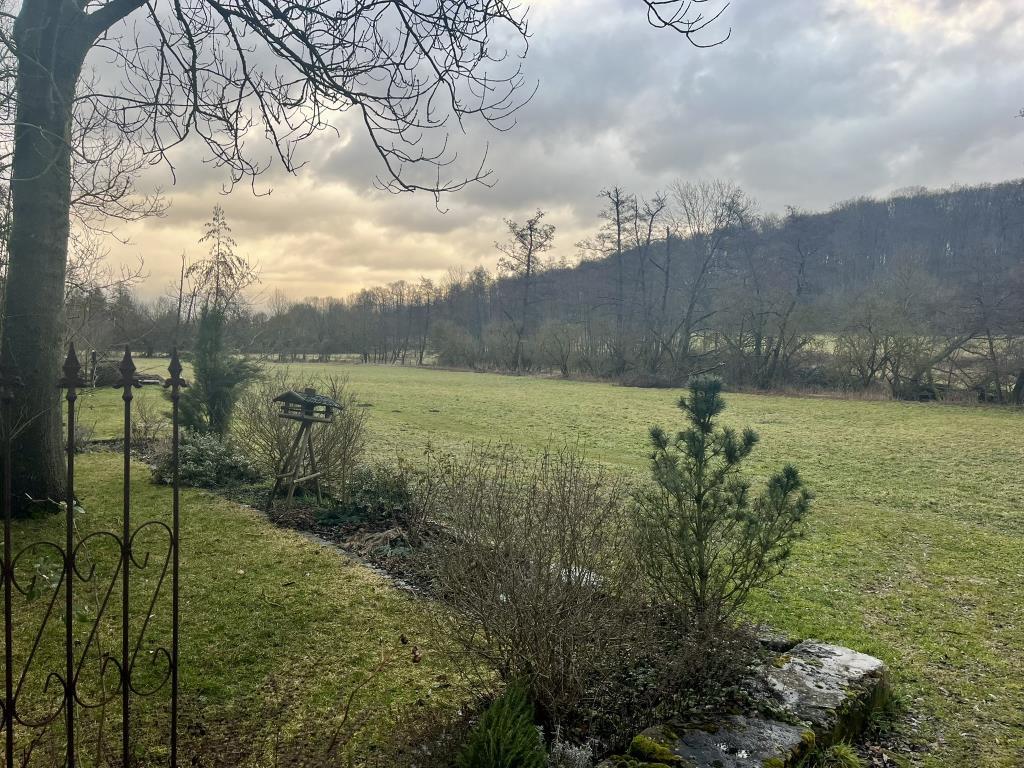 Aussicht ins Grün