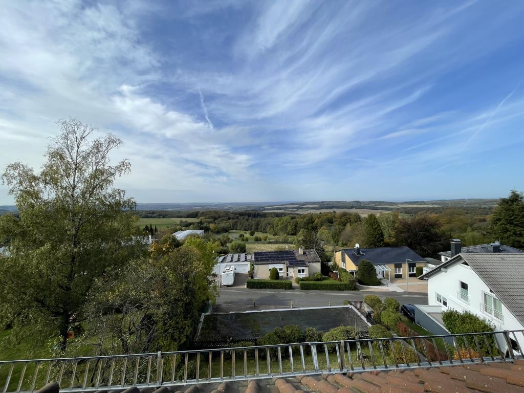 Fernblick