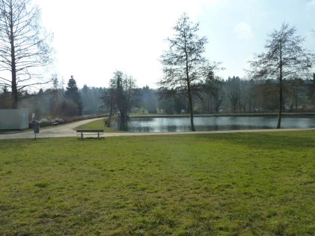 Maasgrund