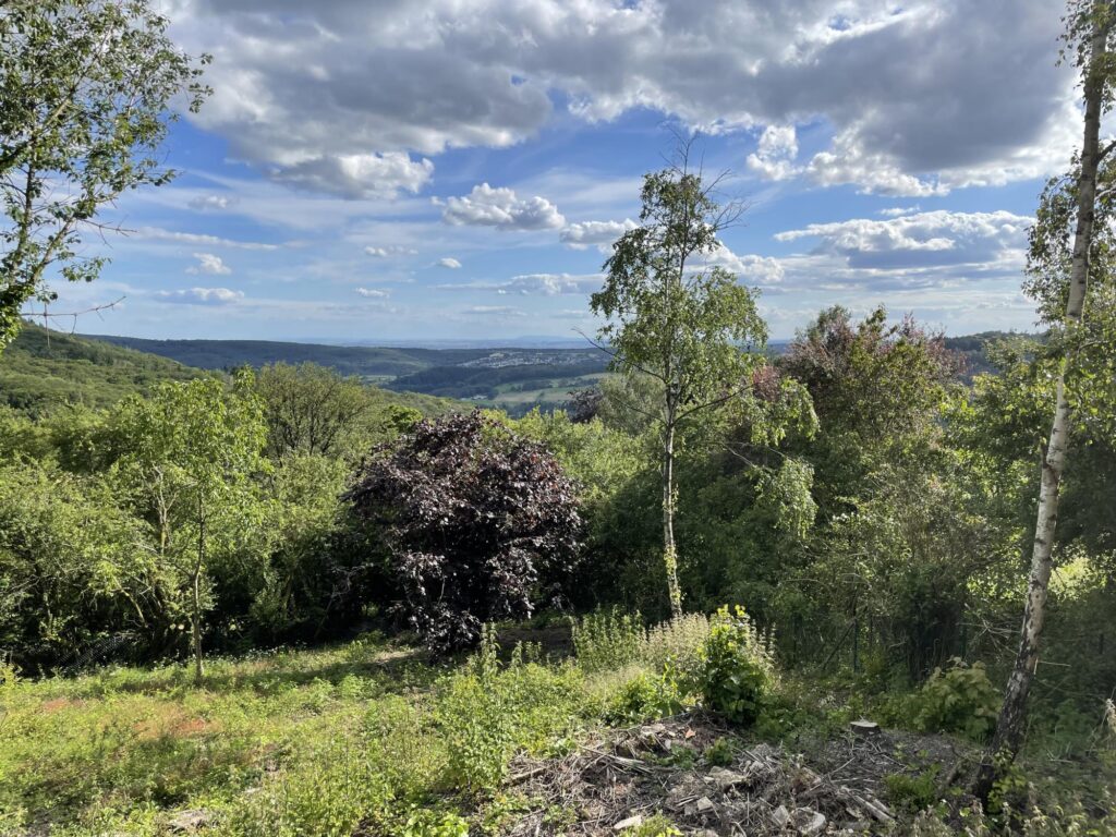 Fernblick