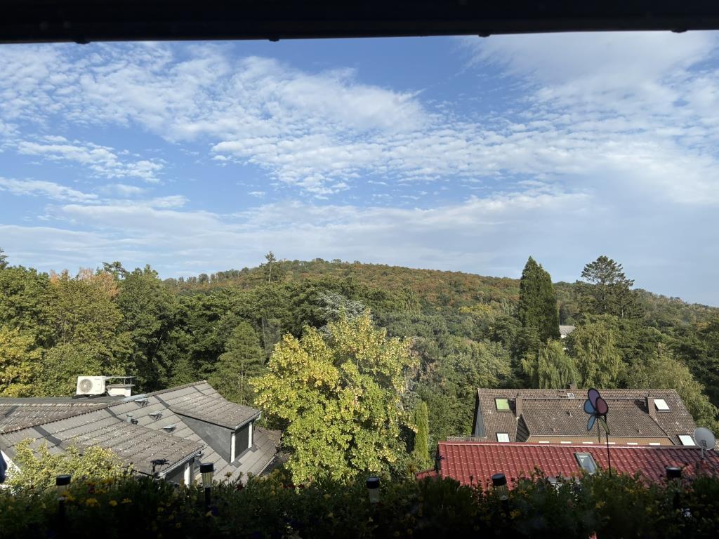 Fernblick